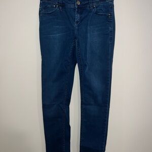 Tommy Bahama Blue Skinny Jeans Classic Fit